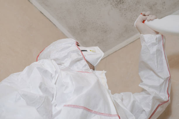 Best Office Mold Removal Services  in Goodland, IN
