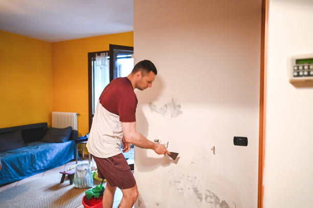 Best Mold Removal Specialists  in Goodland, IN